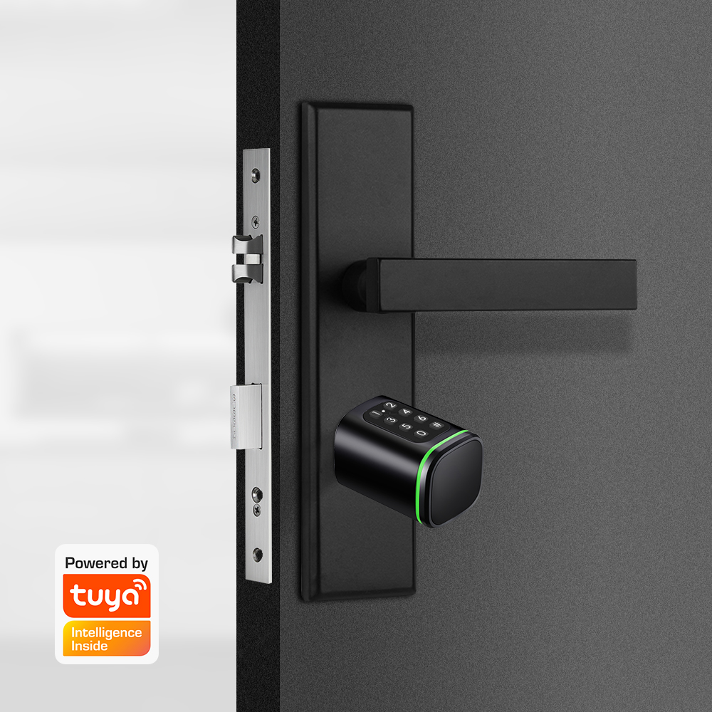 Smart Cylinder Lock Tuya 60-90 - Home Security Key review and price